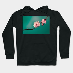 FLOWERS, NATURE’S Fashion Models Hoodie